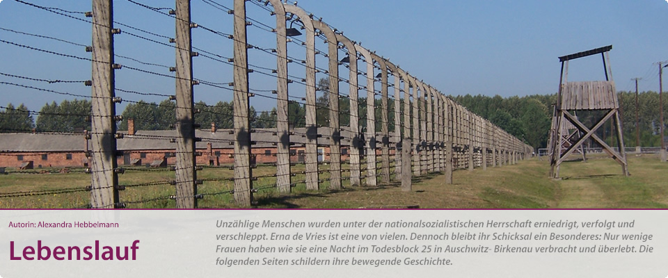 Ansicht des Frauenlagers in Auschwitz-Birkenau