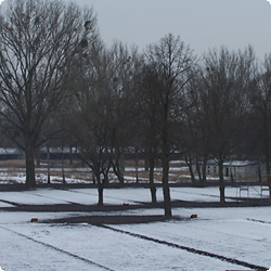 Das ehemalige Lagergelände des Konzentrationslagers Ravensbrück.