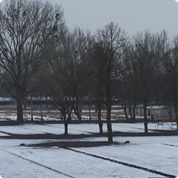 Das ehemalige Lagergelnde des Konzentrationslagers Ravensbrck.